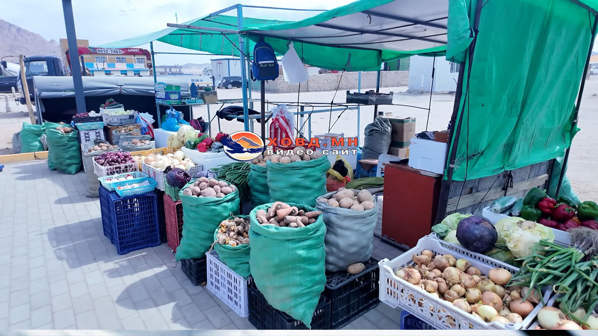 Задгай талбайд хүнсний ногоо эрхлэгчдийн ажлын байрыг эхлээд шийдэх ёстой