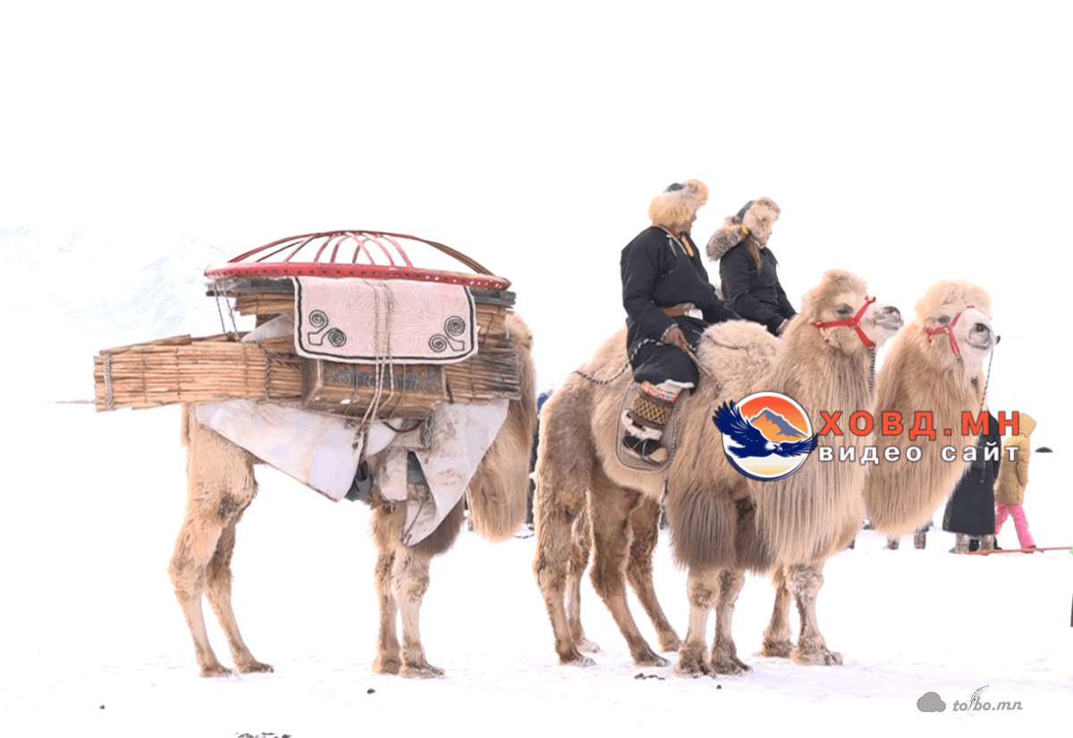 Б.Энхтөр: Гурван сайхан цагаан тэмээтэйгээ ирээд түрүүлсэндээ баяртай байна.